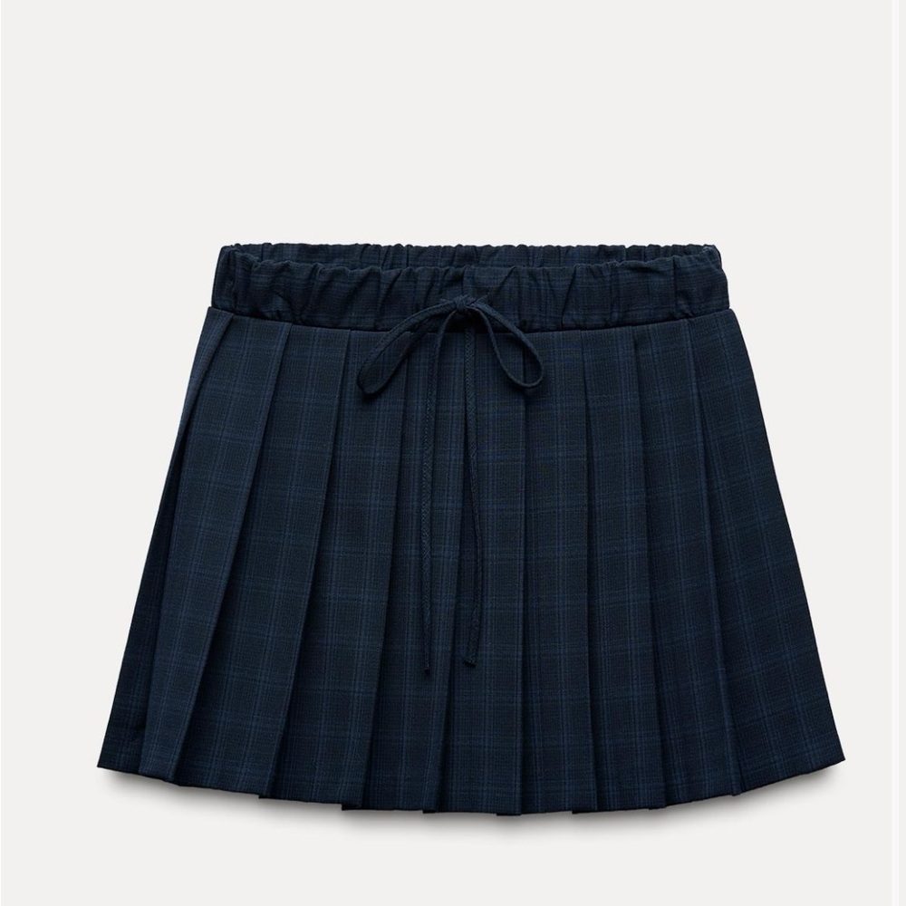 Zara Dark Blue Plaid Skater Skirt